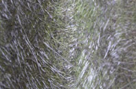 Hareleeshill fibreglass roof work